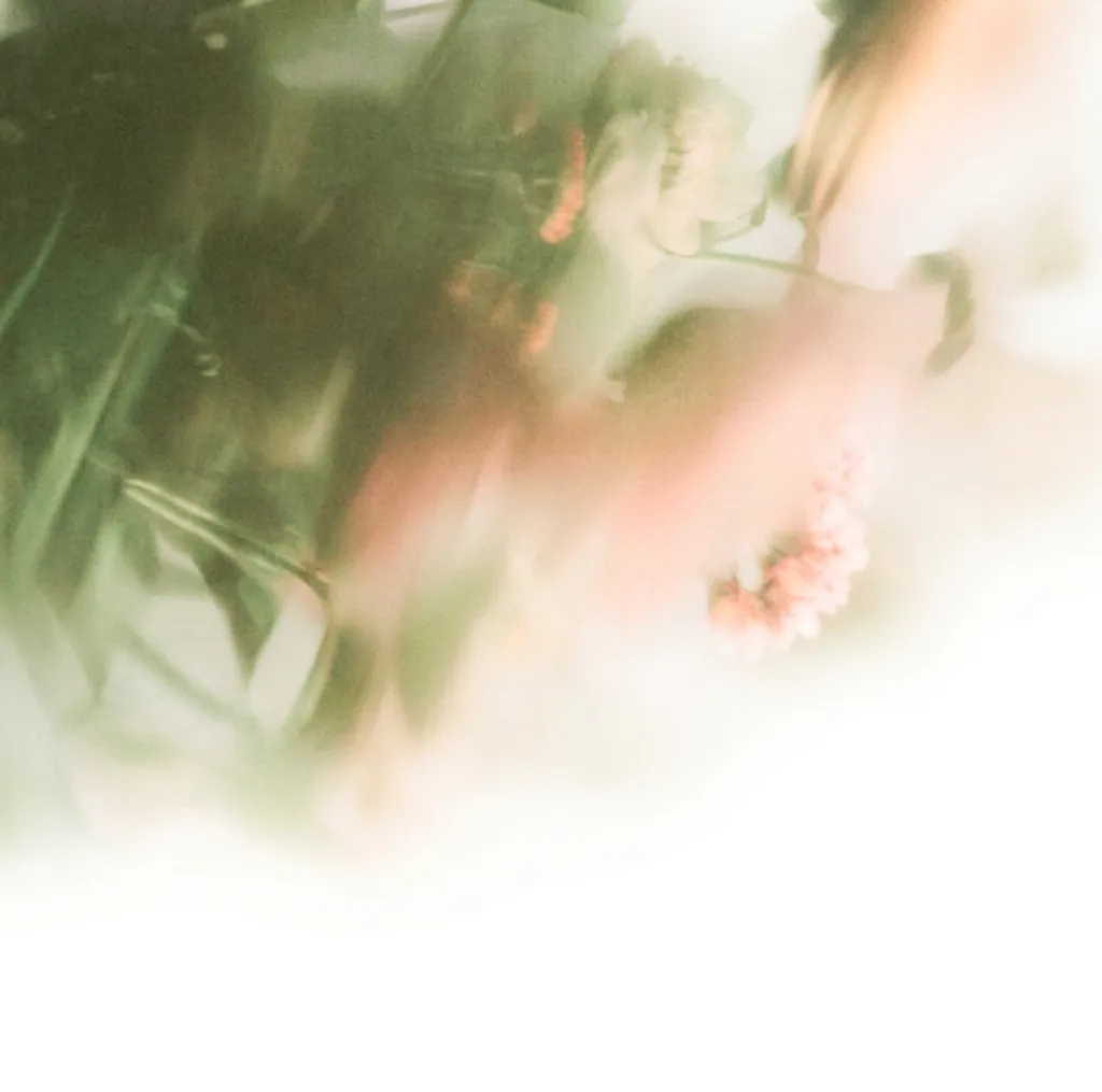 A blurred green plant with a pink flower, fading to white